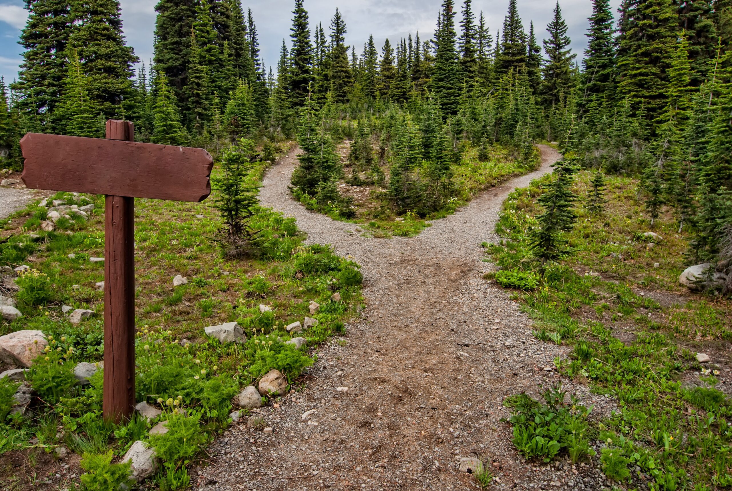 Should you stay or leave? Are public finance jobs for you or not anymore?