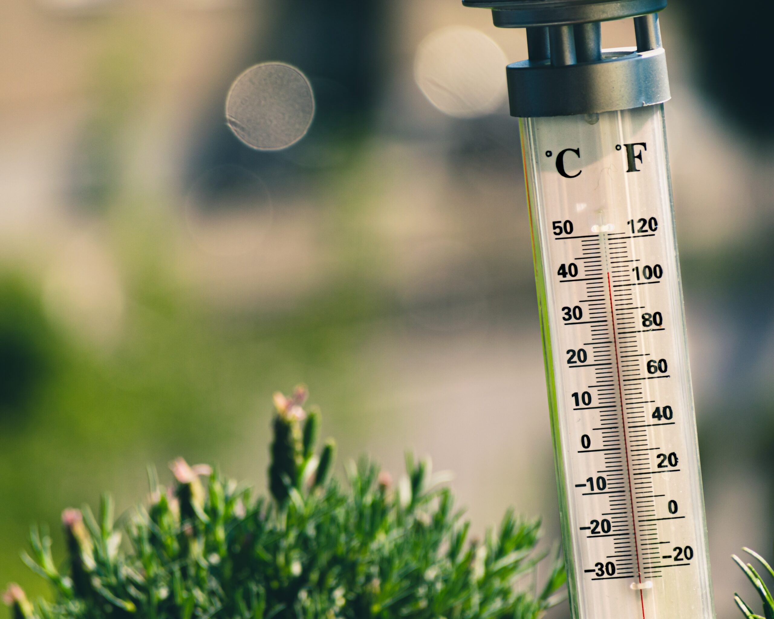 What is the temp of the current market? Here's what to know.